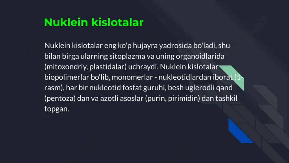 molekulyar genetika. tiriklikning molekulyar asoslari. - Page 4