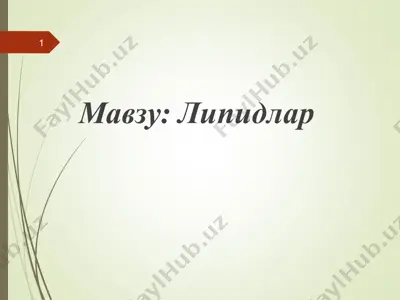 липидлар 2 — PPT