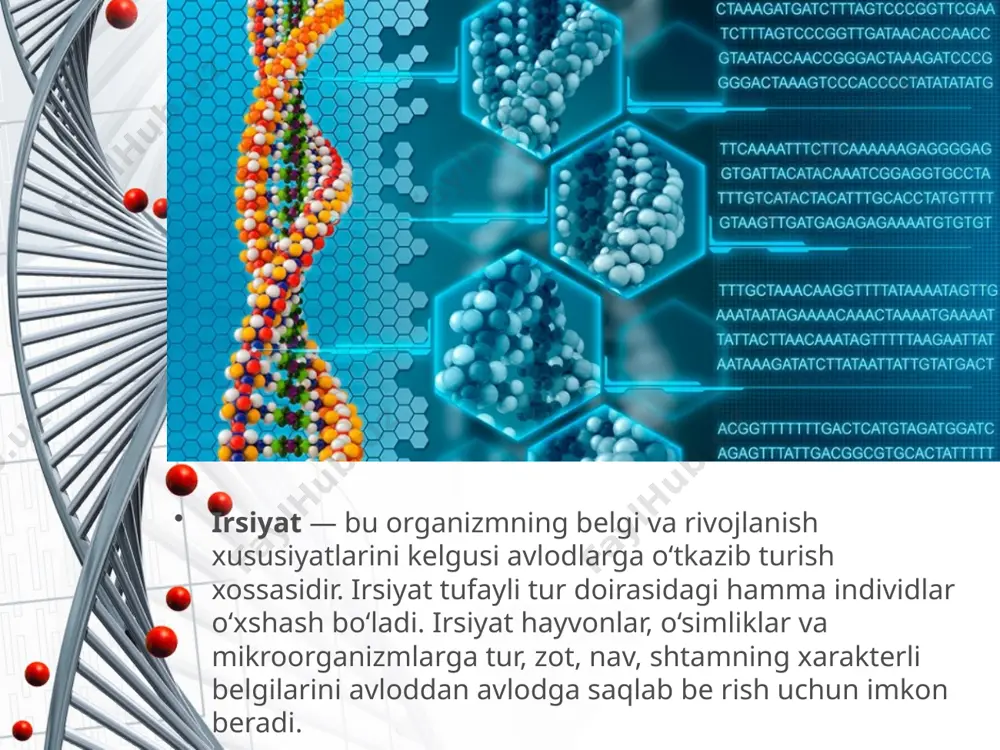 irsiyat va o‘zgaruvchanlik. 9 - sinf - Page 3