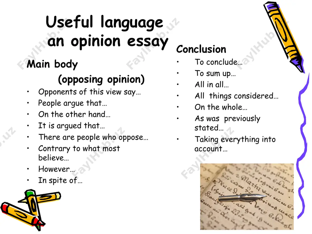 how to write an opinion essay - Page 5