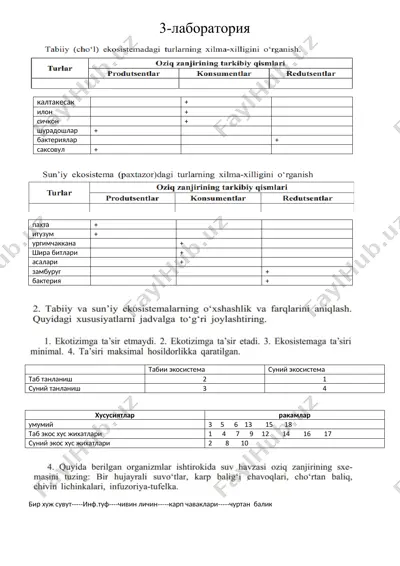 3-laboratoriya — DOCX