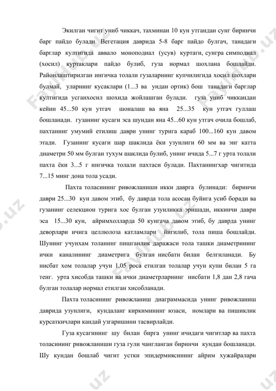 нг айрим хужайралари узунасига уса бошлайди ва натижада пахта толаси вужудга келади. пахта толаси найчасига ухшаш бир усимлик хужайрасидан иборат. кусак очилгандан кейин тола каналидаги протоплазма курий бошлайди, натижада пахта толаси бир оз яссиланиб лентага ухшаб колади ва уз уки атрофида бурала бошлайди. нормал етилган тола эса 10 мм узунлигида 50-80 марта буралиши натижасида унинг умумий узунлиги 1....1,5 мм гача камаяди. пахта уругчилиги билан билан шугулланувчи ташкилотларнинг асосий вазифаси тезпишар, серхосил, тукимачилик саноати талабига тулик жавоб берадиган янги гуза навлари уругини купайтириш хамда колхоз ва совхозларни юкори сифатли уруглик чигит билан таъминлашдан иборат. пахта уругчилигит ягона давлат системасига бирлашган булиб, у селекция ва уругчилик станциялари, элита уругчилик хужаликлари нав синаш булимлари, пахта тайёрлаш пунктлари, пахта тозалаш заводлари ва уругчилик лабораторияларида олиб бориладиган селекция ва уругчилик ишларини бир-бирига боглайди. пахта уругчилиги системаси куйидаги ишларни уз ичига олади; а) янги нав гуза уругини дастлабки купайтириш; б) давлат нав синаш ва районлаштириш ишларини …