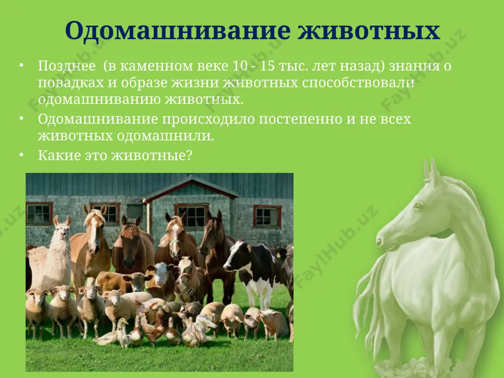 о они считают «наседкой» человека, который достает их оттуда. запечатление - импринтинг это яв­ление впервые было описано у птиц, а впоследствии его обнаружили у овец, коз, оленей, лошадей и других жи­вотных, детеныши которых сразу после рождения способны передви­гаться (зрелорождающиеся). примером этого может служить поведение только что ро­дившегося ягненка. если в данный момент удалить его от матери и стать перед ним, а затем пойти, ягненок будет двигаться за чело­веком. карл фриш - австрийский этолог (1886- 1982 г) известен главным образом благодаря изучению пчёл. в начале xx века считалось, что ни рыбы, ни беспозвоночные цветовым зрением не обладают. однако фон фриш сумел натренировать рыбок-гольянов по-разному реагировать на различные цвета. но рыбы - это рыбы. а как насчет беспозвоночных? будучи дарвинистом, фон фриш понимал: у пчел цветное зрение должно быть наверняка, ведь их пища - в цветках… в 1912 году ученый начинает первые эксперименты с насекомыми. доказать, что пчелы в принципе способны различать …
