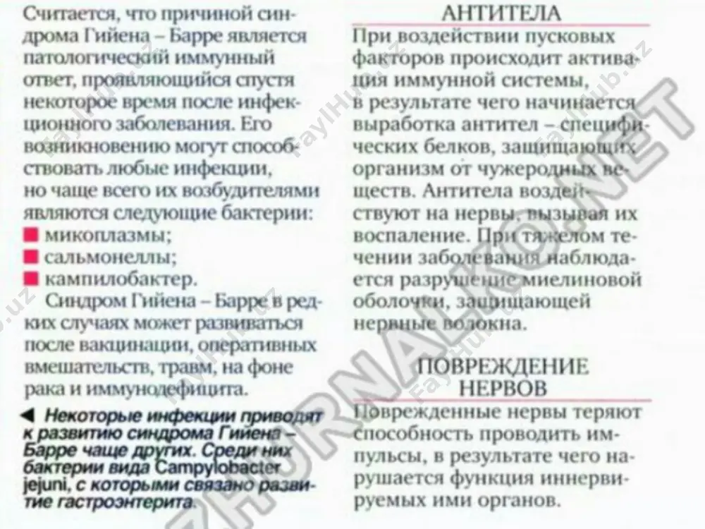 i plazmafereza ili ispolzovaniya immunoglobulinov klassa g. eto pomogaet ostanovit autoimmunniy protsess. sposobi lecheniya vibirayutsya s uchetom klinicheskoy kartini i nalichiya protivopokazaniy. mojet potrebovatsya operativnoe vmeshatelstvo dlya vosstanovleniya dixatelnogo protsessa – nalojenie traxeostomi – ili pri dlitelnix bulbarnix narusheniyax ustanavlivayut gastrostomu. v zavisimosti ot klinicheskoy kartini ispolzuetsya simptomaticheskoe lechenie: pri narushenii vodno-elektrolitnogo balansa – infuzionnaya terapiya; pri serdechno-sosudistix narusheniyax – adrenoblokatori razlichnix vidov; taxikardiyu snimayut primeneniem atropina; vtorichnoe infitsirovanie ostanavlivaetsya ispolzovaniem antibiotikov; pri virajennix bolevix simptomax razresheno primenyat obezbolivayushie preparati iz ryada nesteroidnix sredstv ili paratsetamol. image1.jpeg image2.jpeg image3.jpeg image4.jpeg image5.jpeg image6.jpeg image7.jpeg image8.png image9.jpeg image10.png image11.jpeg image12.png image13.png /docprops/thumbnail.jpeg