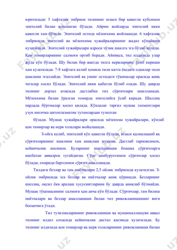 зчалари ва безлар шаклланиши билан тил ривожланишининг янги босқичига ўтади. тил тузилмаларининг ривожланиши ва мукаммаллашуви аввал тилнинг илдиз сохасида кейинчалик дистал қисмида кузатилади. бу тилнинг илдизида қон томирлар ва нерв толаларининг ривожланиши билан боғлиқдир. 2-ойлик ҳомиланинг тили танасига нерв толалари илдиз томонидан киради. 4-5 ойлик ҳомилада сезувчи ва харакат нерв охирларининг шаклланиши кузатилади. 6-7 ойлик ҳомила тилида йирик қон томирлари нерв толарирининг йўғонлашган тутамлари билан тил мушаклари бириктирувчи тўқимасида кенг қовузлоқли нерв​ томир чигалини ҳосил қилади. чақалоқнинг тили юқори мукаммаллашган аъзодир. янги омил-озуқа тасирида бу аьзонинг хамма тузилмаларида иктисосланиши давом этади. чақалоқларда тилнинг мушак қаватлари аниқ шаклланган бўлсада, тутамлари бир-бирига зич бирикади. мушак толалари катталарникира нисбаттан ингичка, мушак орасида жойлашган бириктирувчи тўқима тил илдизида қалинроқ тил учига борган сари юпқа тортади. чақалоқ тилидаги нерв хужайралари ҳам мукаммаллашган. туғилгандаи сўнг, икки хафта давомида ипсимон сўрғичлар конуссимон шаклни эгаллайди, уч сохасидаги эпителий мугузлана бошлайди. бир ёшли болада бу эпителий мугузланувчи бўлиб, сўрғич …