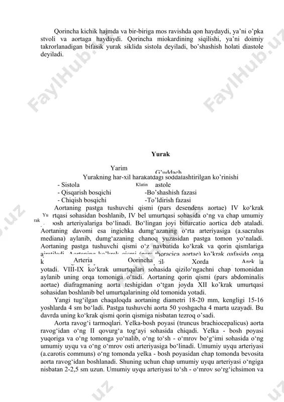 i to‘sh - o‘mrov so‘rg‘ichsimon va kurak - til osti mushaklarning orqasida bo‘yin umurtqalari ko‘ndalang o‘simtalari oldida vertikal yo‘nalib yuqoriga ko‘tariladi. bo‘yinda uning lateral tomonida ichki bo‘yinturuq venasi, orqa tomonida adashgan nerv joylashgan bo‘lib, bo‘yin fastsiyasi bilan o‘raladi va bo‘yinning tomirli - nervli dastasini hosil qiladi. qalqonsimon tog‘ayning yuqori chekkasi sohasida har bir umumiy uyqu arteriyasi bifircatio carotidis hosil qilib tashqi va ichki uyqu arteriyalariga bo‘linadi. ular bo‘lingan joyda quyuq kapillyarlar to‘ri va nerv uchlaridan iborat uyqu koptokchasi (glomus caroticum) joylashgan. aorta ravog‘idan boshlanuvchi umumiy uyqu arteriyasining kengligi bir yoshgacha 3-6 mm bo‘lsa, 15-16 yoshda 6-7 mm, kattalarda 9-14 mm bo‘ladi. pastga tushuvchi aorta (aorta decendens) aortaning eng uzun qismi. u ko‘krak va qorin qismlariga bo‘linadi. pastga tushuvchi aorta bolalarda iv ko‘krak umurtqasi sohasidan boshlanib, umurtqa pog‘onasi bo‘ylab v bel umurtqasi sohasigacha tushadi.yangi tug‘ilgan chaqaloq aortasi diametri 18-20 mm bo‘lsa, balog‘at davrida 4 sm ga yetadi. bu davrda pastga tushuvchi …