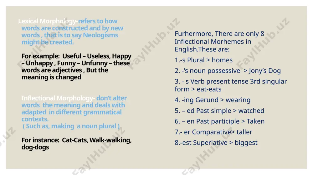 morphology - Page 3