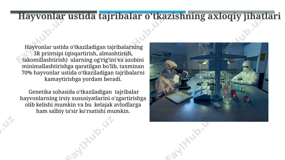 ethical issues in science and technology: cloning, animal experimenting - Page 4