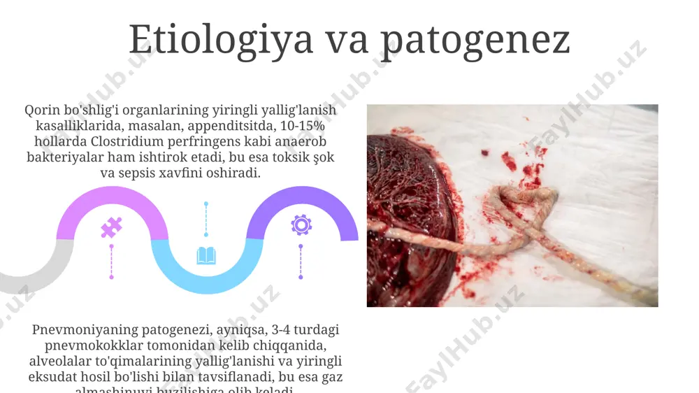 безсимон аъзолар йирингли-яллигланиш хасталиклари - Page 5