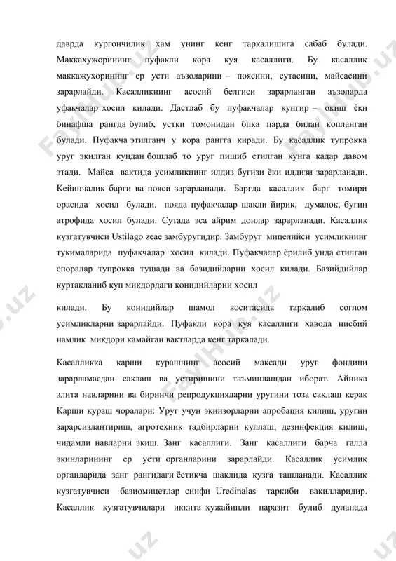 и апробация килиш, уругни зарарсизлантириш, агротехник тадбирларни куллаш, дезинфекция килиш, чидамли навларни экиш. занг касаллиги. занг касаллиги барча галла экинларининг ер усти органларини зарарлайди. касаллик усимлик органларида занг рангидаги ёстикча шаклида кузга ташланади. касаллик кузгатувчиси базиомицетлар синфи uredinalas таркиби вакилларидир. касаллик кузгатувчилари иккита хужайинли паразит булиб дуланада эцидия боскичини, маданий усимлик – бугдойда телейтоспорани хосил килади. занг касаллигининг таркалишида метеорологик шароит асосий роль уйнайди. усимликнинг зарарланиши вегетациянинг турли даврларида руй беради. касалланган усимлик усишдан оркада колади, дон ва бошогининг сонини камаяди. занг касаллиги касаллик кузгатувчининг турига караб куйидаги турларга булинади: чизикли занг – puccinia graminis, p.graminis f. secalis, p.g.f. avenae; кунгир занг – рuccinia triticina; сарик занг – рuccinia striformis. карши кураш чоралари: агротехник тадбирларни уз вактида утказиш; оралик хужайин экинларини ( зирк ва кораканд) уз вактида йук килиш, уругларни кулай муддатда экиш, уругларга экишдан олдин микроэлементлар билан ишлов бериш, фосфорли ва калийли – угитларни куллаш, хосилни эрта йигиштириш, чидамли …