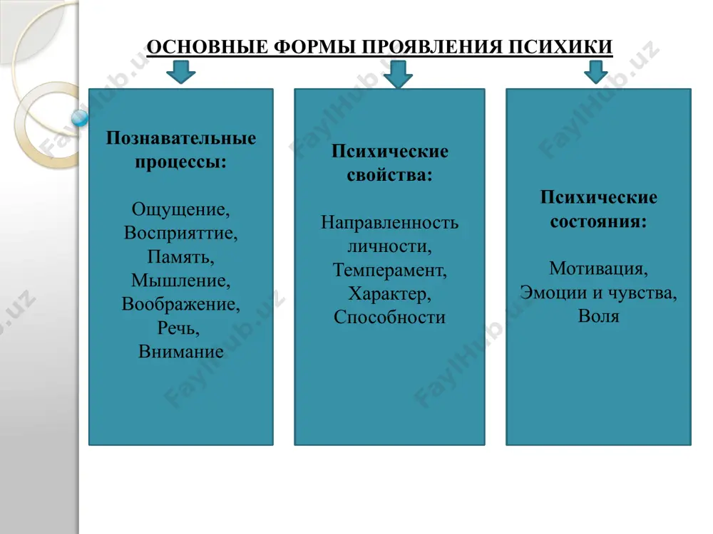 ованная общественно-исторической деятельностью людей. сознание человека носит всегда целенаправленный и активный характер. основной предпосылкой и условием возникновения сознания человека явилось развитие человеческого мозга. ведущим фактором, влияющим на развитие сознания, была трудовая деятельность, основанная на совместном употреблении орудий труда. психологические характеристики сознания сознание – это прежде всего совокупность знаний. поэтому в структуру сознания входят познавательные процессы: ощущение, восприятие, память, мышление, воображение. сознание – это различение субъекта и объекта, т.е. того, что принадлежит «я» человека и его «не-я». человек единственный среди живых существ способен осуществлять самопознание, т.е. обращать психическую деятельность на исследование самого себя. сознание – целеполагающая деятельность человека. в функции сознания входит формирование целей деятельности. именно эта функция сознания обеспечивает разумное регулирование поведения и деятельности человека. в состав сознания включено определенное отношение к окружающей среде и к другим людям. мир чувств и эмоций, отражают сложные объективные и субъективные отношения, в которые вовлечен каждый человек. существенную роль в развитии сознания играет речь …