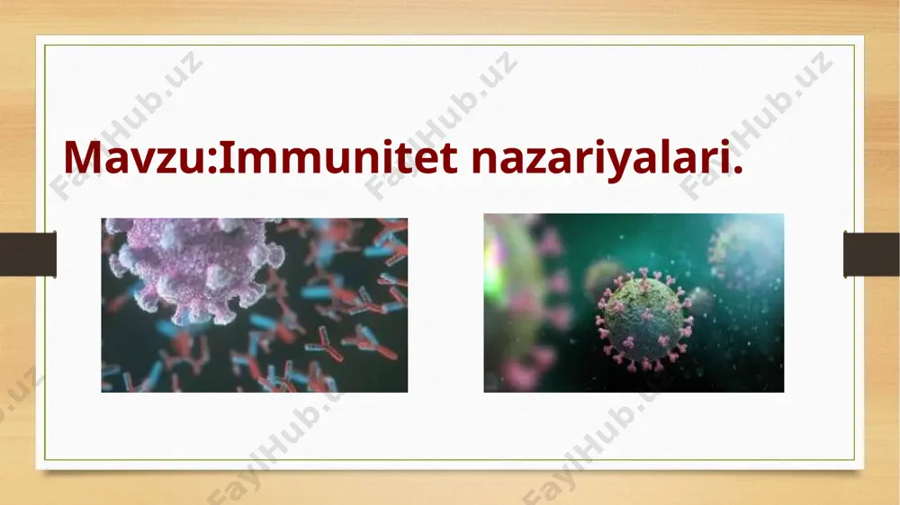 ga keladigan himoya boʻlib, nasldan naslga oʻtmaydi. orttirilgan immunitet tabiiy va sunʼiy boʻladi. tabiiy immunitet oʻz navbatida yana ikkiga boʻlinadi: 1) tabiiy faol immunitet — yuqumli kasallikdan sogʻaygandan soʻng yuzaga keladi; 2) tabiiy sust immunitet— onadan bolaga yoʻldosh va sut orqali oʻtadi. sunʼiy immunitet ham ikki xil boʻladi: 1) sunʼiy faol immunitet vaksinalar bilan emlaganda hosil boʻladi; 2) sunʼiy sust immunitet — zardob, qon, immunoglobulin va plazmalar yuborilgandan soʻng yuzaga keladi. orttirilgan immunitet mikrobga qarshi (antibakterial immunitet) va uning toksinlariga qarshi (antitoksik immunitet) vujudga keladi. antibakterial immunitet oʻz navbatida steril va nosteril turlarga bulinadi. steril immunitetda kasallikdan soʻng patogen mikrob organizmda saqlanib qolmaydi (koʻpgina yuqumli kasalliklarga xos). nosteril immunitetda kasallik qoʻzgʻatuvchisi organizmda saqlanib qolishi mumkin (masalan, sil, ich terlama shol,, kabi kasalliklarda), lekin odamda kasallik belgilari kuzatilmaydi, ammo immunitet maʼlum bir sabablarga koʻra susaysa, kasallik qaytalanishi (retsidiv) mumkin. evolyutsiya nugtai nazardan immunitet tizimining paydo bo'lishi taxminan 500 mln yillar hisoblanadi. …
