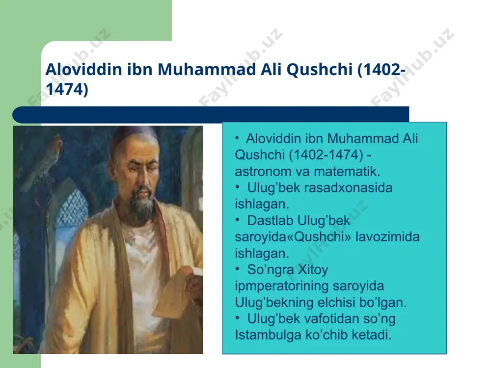 mirzoga bag’ishlab “sharx at-tajrid al-kalom” asarini yozgani ma’lum. abdurahmon jomiyning shogirdi jomiy tarjimai holining muallifi abdalvosi an-nizomiy ham “makomati madlaviy jomiy” asarida,ali qushchi hirotda jomiy bilan uchrashib suhbat qurgani va suhbatda ali qushchi astronomiya bo’yicha bir necha asarlar va sharxlar yozish rejasi borligining shuningdek,rumga ko’chish niyati borligini ma’lum qiladi. jomiy ali qushchiga keksaygan paytida bunday uzoq safarga otlanishga etiroz bildiradi.biroq qushchi o’z fikridan qaytmaydi.”uzoq yo’l yurib ali qushchi rumgacha yetib bordi, biroq shundan so’ng ko’p vaqt o’tmay, hirotga uning o’limi haqida xabar yetib keldi.”-deb yozdi abdulvosi an-nizomiy. shunday qilib, tarixiy manbalar ali qushchining 1474 yilda istambulda vafot qilganligi va abo ayub ansoriy mozoriga dafn etilganligidan dalolat beradi.