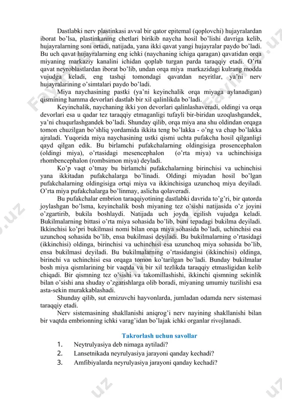 evorlari esa u qadar tez taraqqiy etmaganligi tufayli bir-biridan uzoqlashgandek, ya’ni chuqurlashgandek bo’ladi. shunday qilib, orqa miya ana shu oldindan orqaga tomon chuzilgan bo’shliq yordamida ikkita teng bo’lakka - o’ng va chap bo’lakka ajraladi. yuqorida miya naychasining ustki qismi uchta pufakcha hosil qilganligi qayd qilgan edik. bu birlamchi pufakchalarning oldingisiga prosencephalon (oldingi miya), o’rtasidagi mesencephalon (o’rta miya) va uchinchisiga rhombencephalon (rombsimon miya) deyladi. ko’p vaqt o’tmay bu birlamchi pufakchalarning birinchisi va uchinchisi yana ikkitadan pufakchalarga bo’linadi. oldingi miyadan hosil bo’lgan pufakchalarning oldingisiga ortqi miya va ikkinchisiga uzunchoq miya deyiladi. o’rta miya pufakchalarga bo’linmay, aslicha qolaveradi. bu pufakchalar embrion taraqqiyotining dastlabki davrida to’g’ri, bir qatorda joylashgan bo’lsma, keyinchalik bosh miyaning tez o’sishi natijasida o’z joyini o’zgartirib, bukila boshlaydi. natijada uch joyda egilish vujudga keladi. bukilmalarning bittasi o’rta miya sohasida bo’lib, buni tepadagi bukilma deyiladi. ikkinchisi ko’pri bukilmasi nomi bilan orqa miya sohasida bo’ladi, uchinchisi esa uzunchoq sohasida bo’lib, ensa bukilmasi deyiladi. …