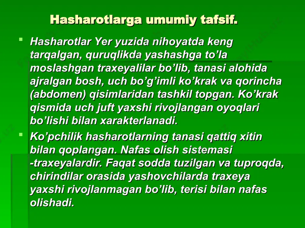 ng'izning qorin bo'limi 8 ta bo'g'imdan iborat. qornini yelka tomondan ustki qanotlar yopib turadi. ustki qanotlar ostidan faqat qorinning uchki qismi chiqib turadi. qorin bo'g'imlari tanasining ostki tomonidan ko'rinadi. qorin bo'limi ko'krak bilan harakatsiz qo'shilgan. hasharotlarning ichki tuzilishi. hazm qilish sistemasi. hazm qilish sistemasi. yashil bronza qo'ng'iz turli o'simliklar gulining qismlari, yosh barglar va yetilmagan mevalari bilan oziqlanadi. qo'ng'iz o'tkir yuqori jag'lari yordamida o'simlik to'qimasini uzib olib, tishchali pastki jag'lari bilan chaynab maydalaydi.. ana shunga o'xshash qattiq oziqni chaynashga moslashgan og'iz organlari kemiruvchi hisoblanadi. uzib olib maydalangan oziq og'iz bo'shlig'ida so'lak bilan aralashadi va qisqa halqum orqali qizilo'ngachga, undan muskulli oshqozonga tushadi. oshqozon devorida joylashgan mayda xitin tishchalar yordamida ezilgan oziq ichakka o'tadi. ichakda oziq batamom hazm bo'ladi va uning tarkibidagi oziq moddalar qonga so'riladi. hazm bo'lmay qolgan oziq qoldiqlari orqa chiqaruv teshigi orqali tashqariga chiqarib yuboriladi. hasharotlar og'iz organlarining tuzilishi oziqlanish usuliga moslashgan va xilma-xil bo'ladi. qattiq o'simlik va …