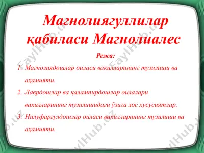 магнолиягуллилар қабиласи магнолиалес — PPTX