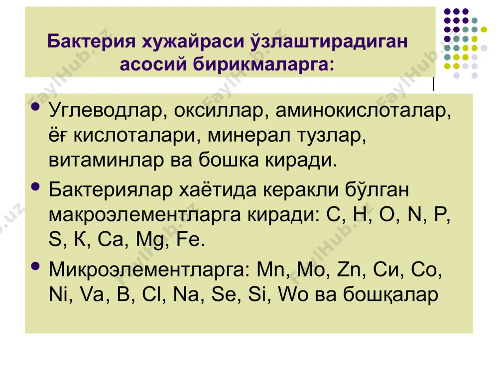 катталашиши, етилишини тушунамиз. микроорганизмлар ўзининг ўсиши ва кўпайиши учун кандайдир моддаларни синтез килмасдан тайёр холида кабул килади. бу моддалар ўсиш факторлари дейилади. ўсиш факторларига аминокислоталар, пурин ва пиримидин асослари, липидлар, витаминлар ва бошқалар киради. аминокислоталарга (стрептококк авлодига кирадиган бактериялар), липидларга (стретококклар, лактобактериялар, микоплазмалар)мухтож. ўсиш жараёнида 4 та давр тафовут қилинади: латент даври - микроорганизмлар озиқ мухитга адаптацияланади, мослашади. логарифмик ўсиш даври - микроорганизмлар тез ўсиб катталашиб, бўлина бошлайди. стационар давр -бунда пайдо бўлаётган бактериялар сони ўлаётган бактериялар сонига тенг бўлади. ўлиш даври – хужайралар ўлиши туфайли сони камайиб боради, охирида ўлганлар сони тиригидан ошиб кетади. микроорганизмларнинг кўпайиши бунда микробларнинг шу популяциясидаги сони маьлум даражада ортишига айтилади. бактериялар: кўндаланг бўлиниш йўли билан –вегетатив кўпайиш спора хосил килиш йўли билан (замбуруғлар, актиномицитлар) майдаланиш йўли билан (риккетциялар) куртакланиб, бўғинчаларидан ипчалар узилиш йули б-н купаяди. бактерияларнинг нафас олиши нафас олишига қараб бактериялар: облигат аэроблар - атмосферада 20% о бўлган суюк ва каттик озик мухитлар …