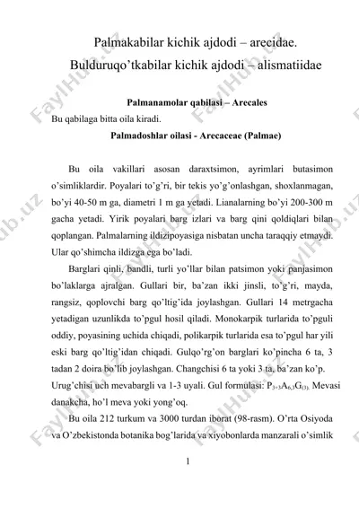 palmakabilar kichik ajdodi – arecidae. bulduruqo’tkabilar kichik ajdodi – alismatiidae — DOCX