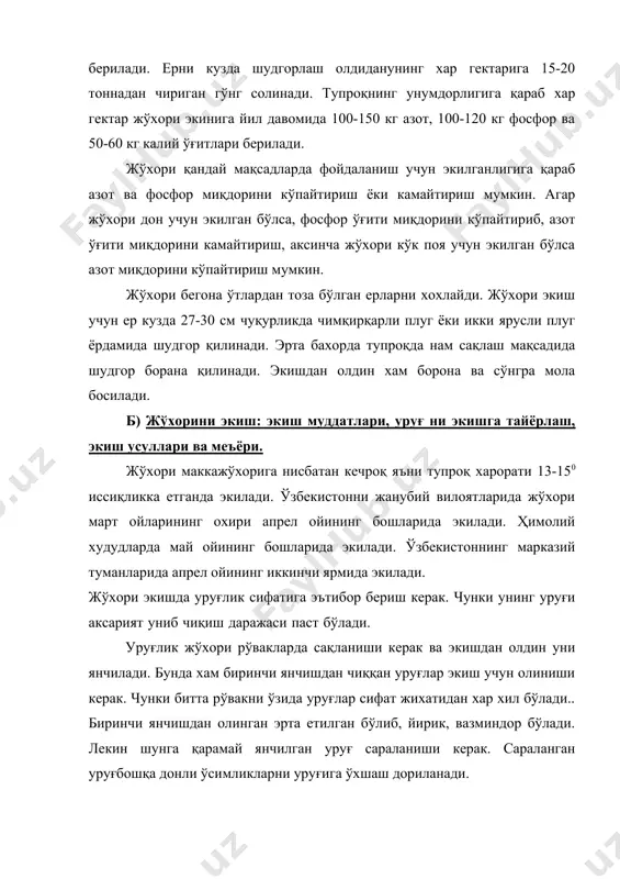 иб экилади ва рўваги пайдо бўлиши даврида ўрилади. жўхорини экиш усулига навига қараб бир гактар ерга сарф қилинадиган уруғмиқдори яъни экиш меъёри ҳар хил бўлади. жўхори дон ёки силос учун етиштириладиган бўлса ҳар гектар ерга 8-12 кг, кўк поя учун етиштириладиган бўлса 15-20 кг уруғ экилади. уруғни экиш чуқурлиги тупроқни механик таркибига ҳамда экиш муддатларига қараб 4-6 см бўлади. в) жўхорини парвариш қилиш. тупроқ қатқолоғига қарши кураш қатор ораларини ишлаш, яганалаш, озиқлантириш ва суғоришдан иборат. жўхори майсалари дастлабки 30-35 кун ичида жуда секин ўсади ва қатор ораларини ўт босиб кетади. шунинг учун майсалар тўла пайдо бўгандан сўнг тез орада қатор ораларини ишлаш ва бегона ўтларни йўқотишга киришиш керак. ўсиш даврида жўхори 2-3 марта култивация қилинади. жўхорини кечпишар навлари ўсиш даврида 5-6 марта суғорилади. жўхорини қандай мақсадларда экилган бўлса, шу мақсадга мувофиқ етиштириб олиниши керак. кўклигича молга едириш мақсадида экилган бўлса жўхорини рўвак чиқарган даврида, силос учун экилган бўлса сут-мум пишиш …