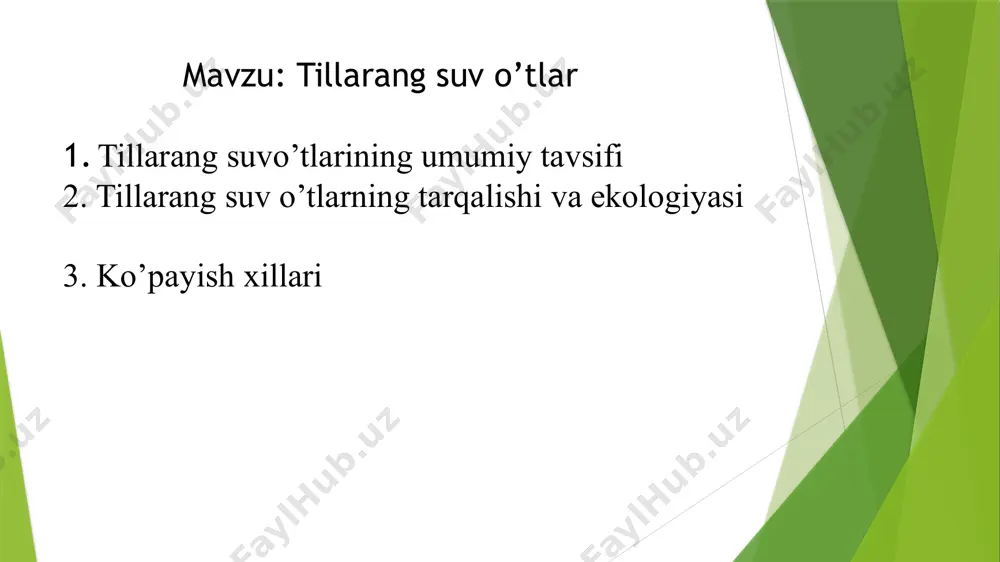 ‘planadi. tashqi qobig‘i (lorika): ba'zi vakillarida xujayra tashqarisida lorika deb ataluvchi silika (kremniy oksidi) asosidagi qattiq qobiq mavjud. bu ularni diatomeyalar bilan bog‘laydi, ammo struktura va shakl jihatidan farqli. yashash muhiti jihatdan moslashuvchanligi tillarang suv o'tlari — mikroskopik, asosan bir hujayrali suv o‘tlari bo‘lib, chrysophyta bo‘limiga mansub. ular xlorofill bilan birga karotin va ksantofill pigmentlariga ega bo‘lgani uchun o‘ziga xos tillarang tusga ega. bu suv o'tlarining asosiy vakillaridan biri dinobryon, synura, va ochromonas kabi tur hisoblanadi. ular ko‘proq toza suv havzalarida, xususan sovuq iqlimli hududlardagi ko‘l va daryolarda tarqalgan. ba'zi turlari esa nam tuproqlar, botqoqlar yoki nam qoplamalardagi mikromuhitlarda ham uchraydi. ularning tarqalishiga havo harorati, suvning sho‘rligi, yorug‘lik miqdori va ozuqa moddalari miqdori kuchli ta’sir qiladi. fotosintez orqali kislorod ishlab chiqaradi va birlamchi ishlab chiqaruvchilar sifatida suv muhitidagi oziq zanjirining boshlanish nuqtasi hisoblanadi. ular zooplanktonlar uchun muhim ozuqa manbai bo‘lib, suvda biologik xilma-xillikni saqlab turishda yordam beradi. ba’zi turlari heterotrofik …