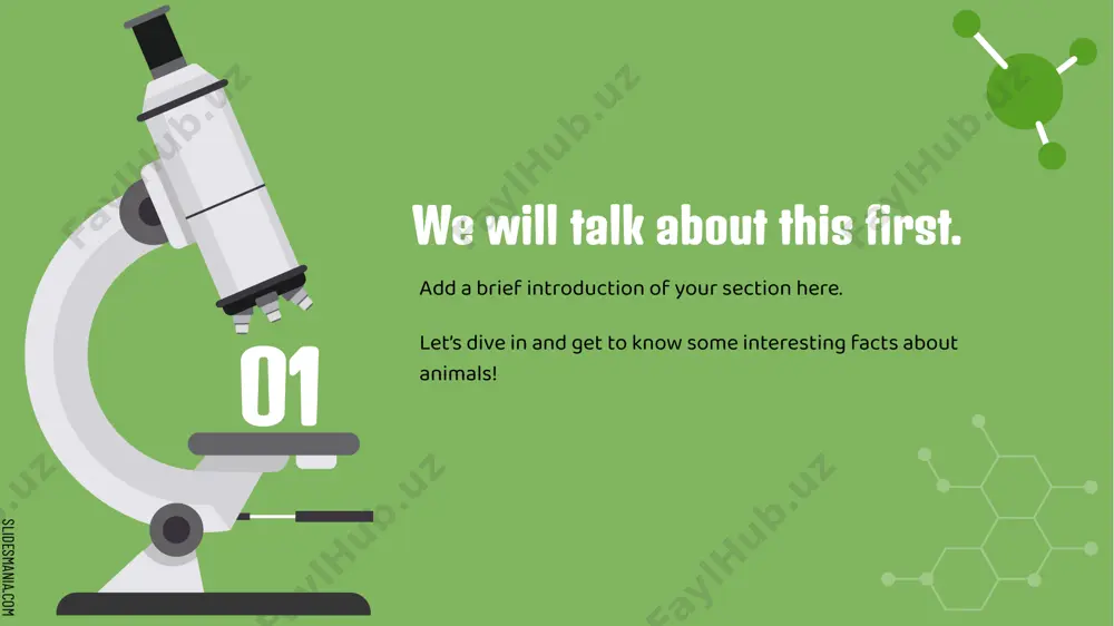 presentation on interesting facts about animals - Page 4
