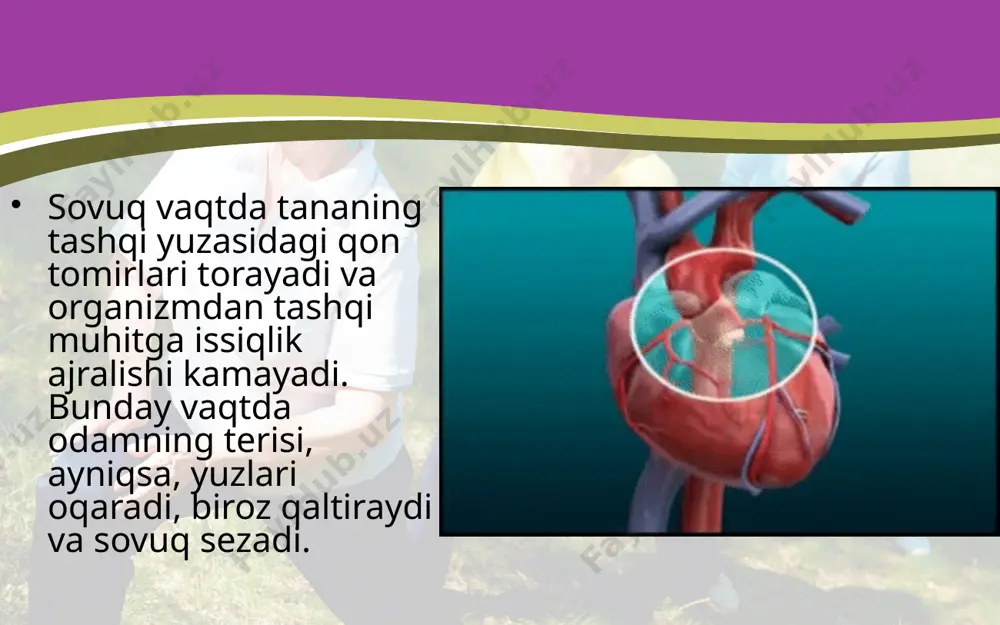 tashqi muhit omillarining yurak faoliyati va qon bosimiga ta’siri. 8 - sinf - Page 5