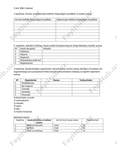9-sinf. bsb-1 (demo) — DOCX