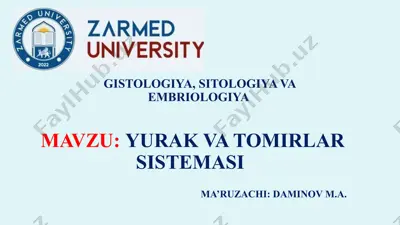 yurak va tomirlar sistemasi — PPTX