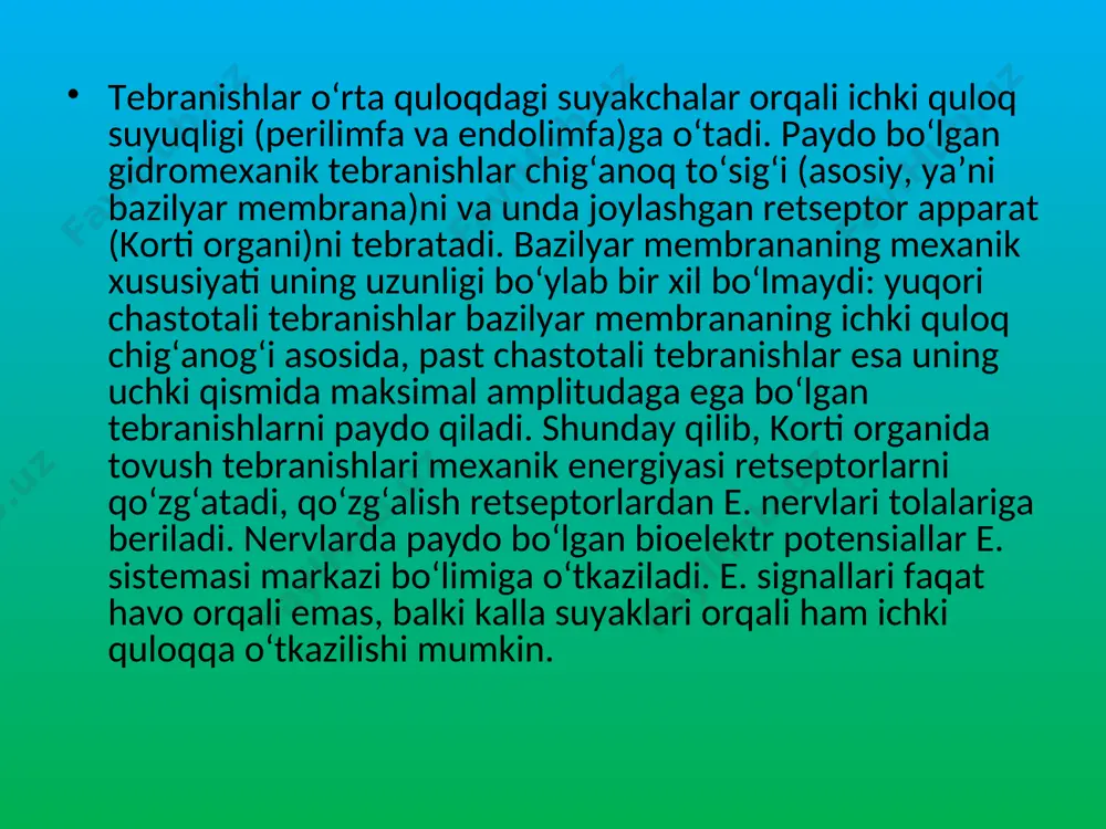 beriladi. shunda nog’ora parda tovush to’lqinlariga mos ravishda tebrana boshlaydi. nog’ora pardaning tebranishlari bolg’acha, yasniqsimon suyakcha va sandon orqali uzangiga uzatiladi. bolg’acha, yasniqsimon suyakcha va sandon nog’ora parda tebranishlarining amplitudasini kamaytirib, ammo kuchini oshirib uzangiga o’tkazadi. shu bilan birga, nog’ora parda yuzasidan uzangining oval darchadagi membranaga taqalgan yuzasi ancha kichik. shu sababli nog’ora parda tebranishlari suyakchalar orqali o’tib, oval darchadagi membranaga bir necha marta ortiq kuch bilan ta'sir qiladi. oqibatda nog’ora pardaga kelgan tovushning kuchsiz to’lqinlari oval darcha membranasining qarshiligini yengib, chiganoqning yuqori va pastki kanallari, ya'ni dahliz narvonchasi bilan nog’ora narvonchasidagi perilimfani tebrantiradi. perilimfaning tebranishi endolimfaning tebranishiga ham sabab bo’ladi.perilimfa va endolimfaning tebranishlari yuqori kanalni pastki kanaldan ajratib turadigan asosiy membrananing tebranishi bilan birga davom etadi. asosiy membrananing tebranishlarini kortiy organning tukli retseptor hujayralari sezadi. ana shu hujayralarda tovush tebranishlari nerv impulslariga aylantiriladi. nerv impulsi eshituv nervi orqali markaziy asab tizimi va uning oliy qismi - bosh miya yarim …