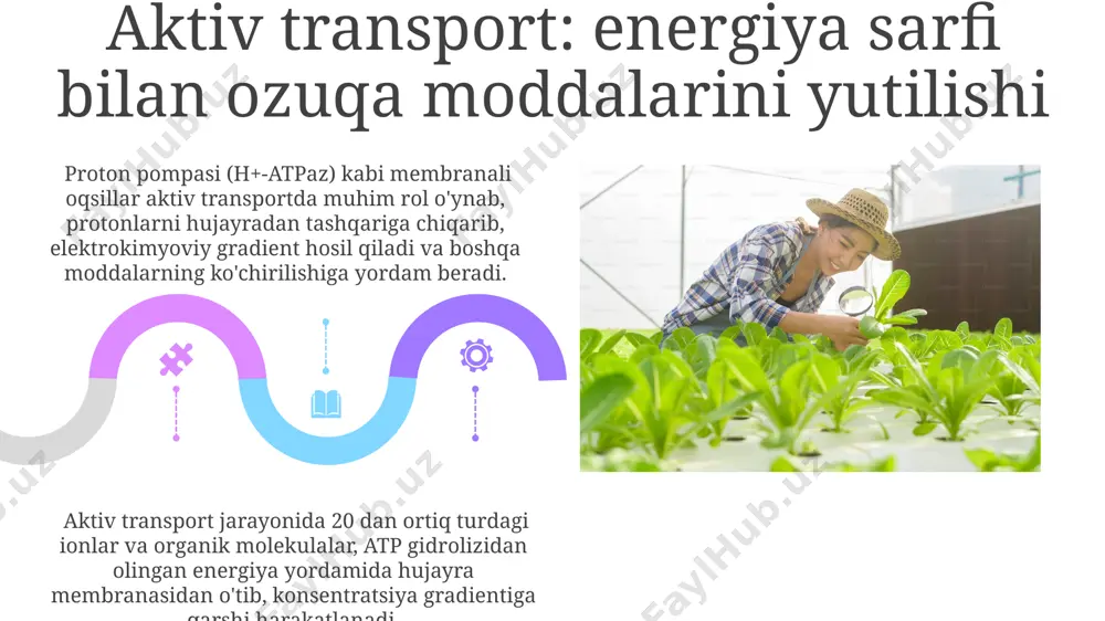 oʻsimliklarda ozuqa moddalarining yutilish jarayoni - Page 5