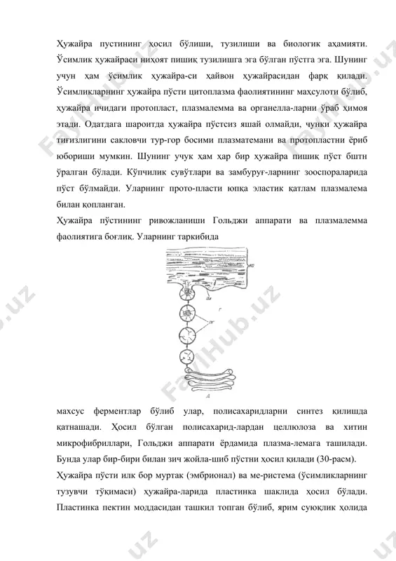 , унинг ўсиши чўзи-лиш воситасида содир бўлади. ҳужайра пўстининг қалин-лиги ҳужайранинг ёшига ва жойлашган ўрнига қараб ўзга-риб боради. электрон микроскоп, ёруғлик ҳамда рентген нурлар ёрдамида ўсимликларнинг соматик ҳужайра пўсти 1-расм. ўсувчи ҳужайра пўсти компонентларини ҳосил бўлиш тасвири: ко — ҳужайра пўсти; пл — ҳужайра пўсти матриксидаги аморф ҳолатдаги полисахаридлар; г— гиалоплазма, т — плаз-молемада учрайдиган мембрана; д— диктиосомалар. икки (ташқи ва ички) қават эканлиги ва уларнинг ўртаси-да махсус пластинка қавати борлиги аниқланган. . ҳужайра пўстининг чўзилиш даврида ёш ҳужайралар ҳамма вақт бир хил текисликда ўсмайди. ҳужайра пўсти-нинг ядрога тегиб турган жойи бошқа жойга қараганда тезроқйириклашади. одатда, ҳужайра пўсти ичкарисидан қалинлашади. чўзилиб ўсган пўстнинг ҳужайраси бирламчи бўлиб, унинг таркибида 60—90% сув бўлади. бирламчи пўстнинг қалинлиги 0,1—0,5 нмк. иккипаллали ўсимлик-ларнинг бирламчи пўст ҳужайраларида пектин ва геми-целлюлоза тенг миқцорда бўлади. бирпаллалиларда асо-сан, гемицеллюлоза учрайди. бирламчи пўстда целлюлоза 30% ни, оқсиллар 10% ни ташкил этади. лигнин моддаси умуман бўлмайди. кўпчилик ўсимликларда ҳужайранинг ўсиши тўхташи …