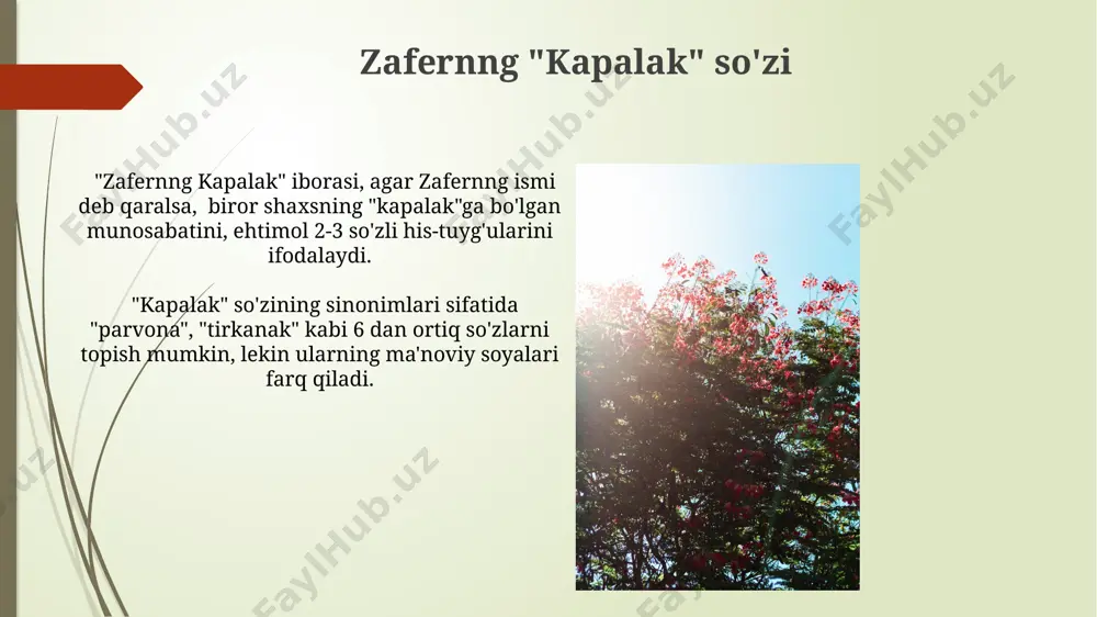 zafar diyor "binafwa" "kapalak" "to'p" - Page 5