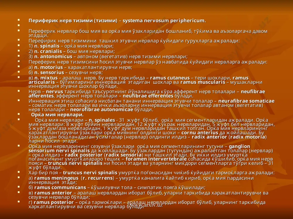кил этади. бу икки илдиз умуртќа поѓанасининг умуртќалараро тешик – fоramen intervertebrale coћaсида ќўшилиб, орќа мия нерв пояси – truncus nervi spinalis ни ћосил этади ва уларнинг миќдори сегментларга тўѓри келиб – 31 жуфт бўлади. хар бир поя – truncus nervi spinalis умуртќа поѓонасидан чиќиб ќуйидаги тармоќларга ажралади: а) ramus meningeus (r. recurrens) – умуртќа каналига ќайтиб кириб, орќа мия пардасини иннервация этади; б) ramus communicans – ќўшилувчи тола – симпатик пояга ќўшилади; в) ramus anterior – аралаш нервлардан иборат бўлиб, уларни таркибида харакатлантирувчи ва сезувчи нервлар бўлади; г) ramus posterior – орќа тармоќлари – аралаш нервлардан иборат бўлиб, уларнинг таркибида харкатлантирувчи ва сезувчи нервлар бўлади www.arxiv.uz www.arxiv.uz www.arxiv.uz www.arxiv.uz www.arxiv.uz www.arxiv.uz www.arxiv.uz www.arxiv.uz www.arxiv.uz www.arxiv.uz www.arxiv.uz www.arxiv.uz www.arxiv.uz www.arxiv.uz www.arxiv.uz www.arxiv.uz www.arxiv.uz www.arxiv.uz www.arxiv.uz www.arxiv.uz www.arxiv.uz www.arxiv.uz www.arxiv.uz www.arxiv.uz www.arxiv.uz www.arxiv.uz www.arxiv.uz www.arxiv.uz www.arxiv.uz www.arxiv.uz www.arxiv.uz www.arxiv.uz www.arxiv.uz www.arxiv.uz www.arxiv.uz www.arxiv.uz www.arxiv.uz www.arxiv.uz www.arxiv.uz www.arxiv.uz www.arxiv.uz www.arxiv.uz www.arxiv.uz www.arxiv.uz …