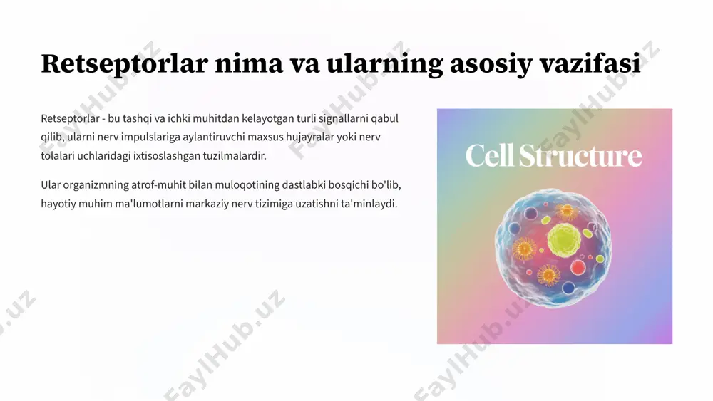sifik molekulalarni tan oladi va ularga bog'lanadi transmembranal qism yetti alfa-spiral halqadan iborat bo'lib, hujayra membranasini kesib o'tadi intratsellulyar qism g oqsil bilan bog'lanadigan va signal uzatish kaskadini ishga tushiradigan qism gpcr retseptorining 3d tuzilishi gpcr: ligand qabul qiluvchi ekstratsellulyar, yetti transmembranal halqali va ichki g-oqsil faollashtiruvchi qismlardan iborat murakkab tuzilma g oqsil va signal uzatish mexanizmi g oqsil tarkibi alfa, beta va gamma subbirliklardan tashkil topgan ligand bog'lanishi gpcr ga ligand bog'langanda konformatsiya o'zgaradi gtp almashtiruvi alfa subbirlik gdp ni gtp ga almashtirib faollashadi signal kuchayishi ikkilamchi xabarchi tizimlar orqali signal kuchayadi gpcr retseptorlarining biologik ahamiyati sezgi funksiyalari vizual, hid, ta'm, eshitish va teginish sezgilari gpcr orqali amalga oshadi gormon signallari adrenalin, insulin va boshqa gormonlarning ta'siri gpcr orqali uzatiladi neyrotransmission dopamin, serotonin kabi neyrotransmitterlar gpcr ni faollashtiradi tibbiy ahamiyat 2012-yilda gpcr funksiyasi uchun nobel mukofoti berilgan, ko'plab kasalliklar bilan bog'liq e'tiboringiz uchun rahmat image1.png image2.png image3.png image4.png image5.png …