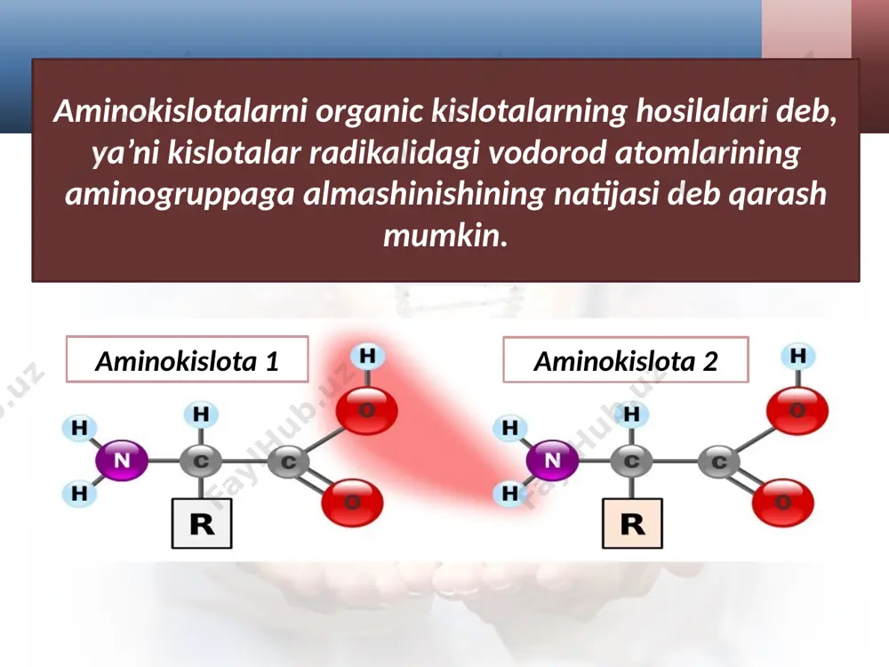 aminokislotlar va oqsillar. olinishi va xossalari. 10 - sinf - Page 3