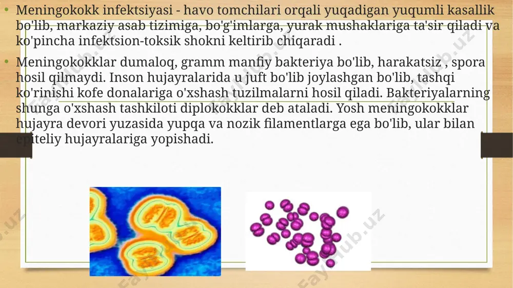 ishi tufayli sayyoramizning "meningit kamarini" tashkil qiladi. meningokokk infektsiyasi asosan 30 yoshgacha bo'lgan bolalar va yoshlarga ta'sir qiladi, ammo kasallik bir yoshgacha bo'lgan chaqaloqlarda va 60 yoshdan oshgan odamlarda eng og'ir. ba'zida hodisalar shu qadar tez rivojlanadiki, kasallikning fulminant shakli alohida aniqlanadi. meningokokk infektsiyasining oqibatlari uning kechishining og'irligiga va patogenning tarqalishiga bog'liq bo'lib, u og'ir nogironlik va o'limga olib kelishi mumkin. bakteriyalar qonga va tananing turli to'qimalariga kirib borishini osonlashtiradigan ko'p miqdordagi agressiv moddalarni chiqaradi . masalan, gialuronidaza biriktiruvchi to'qimalarning asosiy komponenti - gialuron kislotasini parchalaydi , buning natijasida kollagen to'plamlari bo'shashadi va meningokokk uchun o'tish joyi hosil bo'ladi. bakterial hujayra devori inson tanasi uchun kuchli toksindir. bu markaziy asab tizimiga, buyraklarga, yurak mushaklariga salbiy ta'sir qiladi va immunitet tizimining kuchli faollashishiga olib keladi. manba infektsion manbai kasal odam yoki tashuvchidir . meningokokkni tashish sub'ektiv ravishda hech qanday tarzda o'zini namoyon qilmaydi, shuning uchun odam boshqalar uchun xavfli ekanligini bilmaydi. …