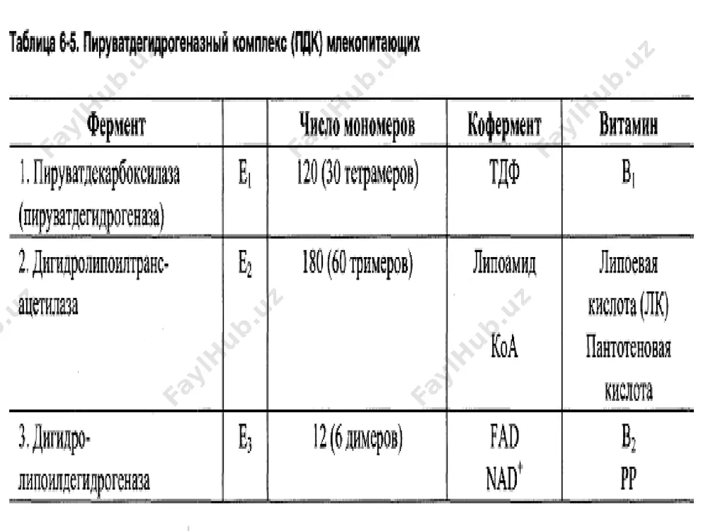 пируватдегидрогеназа комплекси - Page 3