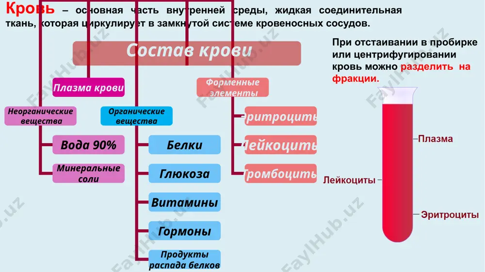 l ppt/slides/slide36.xml ppt/slides/slide16.xml ppt/slides/slide33.xml ppt/slides/slide15.xml ppt/slides/slide7.xml ppt/slides/slide6.xml ppt/slides/slide5.xml ppt/slides/slide3.xml ppt/slides/slide2.xml ppt/slides/slide8.xml ppt/slides/slide4.xml ppt/slides/slide10.xml ppt/slides/slide14.xml ppt/slides/slide13.xml ppt/slides/slide9.xml ppt/slides/slide11.xml ppt/slides/slide12.xml ppt/slidemasters/_rels/slidemaster1.xml.rels ppt/slidelayouts/_rels/slidelayout8.xml.rels ppt/slidelayouts/_rels/slidelayout9.xml.rels ppt/slidelayouts/_rels/slidelayout11.xml.rels ppt/slidemasters/slidemaster1.xml ppt/notesslides/notesslide1.xml ppt/slidelayouts/_rels/slidelayout6.xml.rels ppt/slidelayouts/_rels/slidelayout5.xml.rels ppt/slidelayouts/_rels/slidelayout1.xml.rels ppt/slidelayouts/_rels/slidelayout2.xml.rels ppt/slidelayouts/_rels/slidelayout3.xml.rels ppt/slidelayouts/_rels/slidelayout4.xml.rels ppt/slidelayouts/_rels/slidelayout7.xml.rels ppt/slidelayouts/_rels/slidelayout10.xml.rels ppt/slidelayouts/slidelayout2.xml ppt/slidelayouts/slidelayout8.xml ppt/slidelayouts/slidelayout9.xml ppt/slidelayouts/slidelayout10.xml ppt/slidelayouts/slidelayout11.xml ppt/notesslides/notesslide2.xml ppt/slidelayouts/slidelayout7.xml ppt/slidelayouts/slidelayout1.xml ppt/notesslides/_rels/notesslide2.xml.rels ppt/notesslides/_rels/notesslide1.xml.rels ppt/slidelayouts/slidelayout3.xml ppt/slidelayouts/slidelayout6.xml ppt/slidelayouts/slidelayout5.xml ppt/slidelayouts/slidelayout4.xml ppt/media/image123.jpeg ppt/media/image116.jpeg ppt/media/image118.jpeg ppt/media/image120.jpeg ppt/media/image121.jpeg ppt/media/image122.jpeg ppt/media/image117.jpeg ppt/media/image110.jpeg ppt/media/image106.jpeg ppt/drawings/vmldrawing1.vml ppt/media/image104.jpeg ppt/embeddings/oleobject1.bin ppt/media/image109.jpeg ppt/embeddings/oleobject2.bin ppt/media/image112.png ppt/notesmasters/_rels/notesmaster1.xml.rels ppt/media/image125.jpeg ppt/media/image141.jpeg ppt/media/image140.png ppt/notesmasters/note