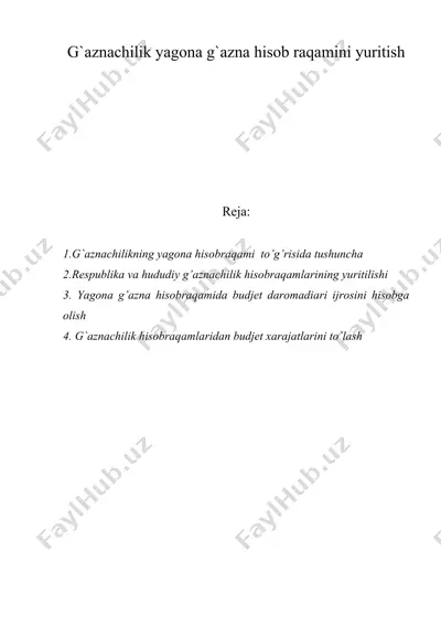 g'aznachilik yagona g`azna hisob raqamini yuritish — DOC