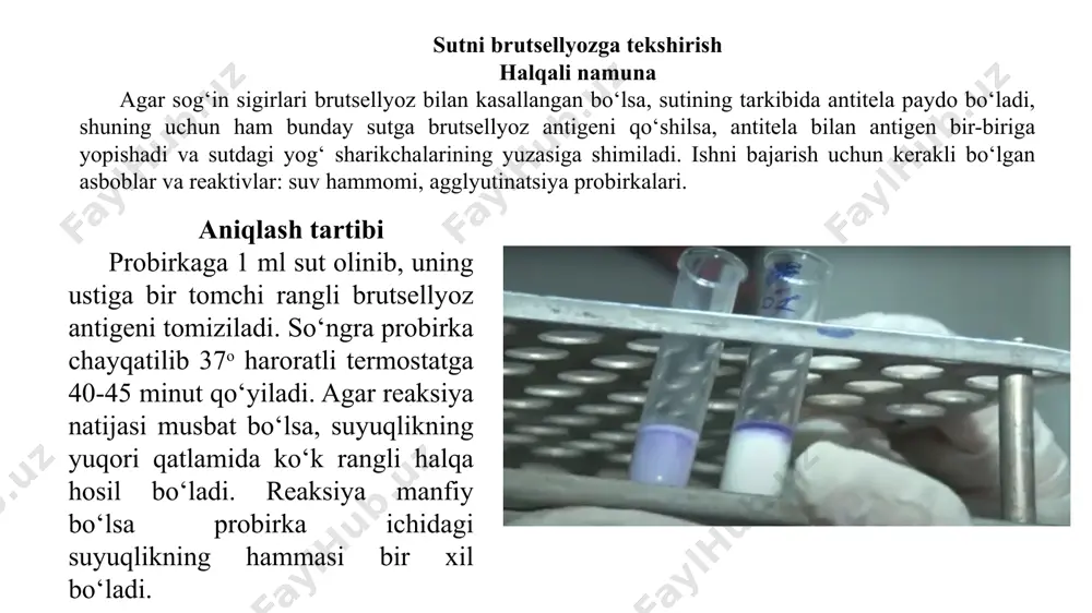 kasal hayvonlar sutini aniqlash - Page 4