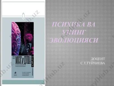 psixika va uning evolyusiyasi — PPTX