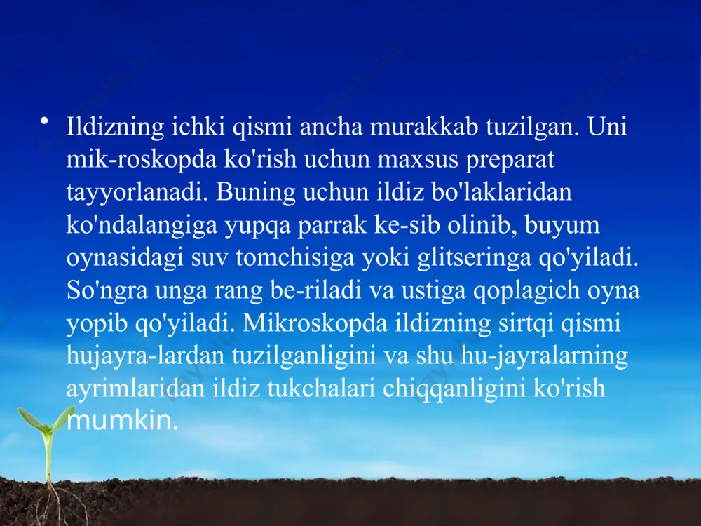 uvchi to'qima hujayra-laridan iborat bo'linuvchi qism joylashgan. bu hujayra­lar tinmay bo'linib turadi. bo'linish qismini tashqi tomondan ildiz qinchasi himoya qiladi. bo'linish qismidan yuqorida o'suvchi qism joylashgan. bu qismda hujayralar bo'linmaydi, balki o'sib, ma'lum funksiyani bajarishga ix-tisoslashadi. o'sish qismidan yuqorida so'ruvchi qism joylashgan bo'lib, bu qismda ildiz tukchalari hosil bo'ladi. ildiz tukchalari ildizni qoplovchi hujayralardan hosil bo'ladi. ildiz tukchalari orqali tuproqdan suv va unda eri-gan mineral moddalar shimiladi. so'ruvchi qismidan yuqo-rida o'tkazuvchi qism joylashgan. bu qismdagi o'tkazuvchi to'qima hujayralari orqali suv va unda erigan mineral mod­dalar yuqoriga - poyaga ko'tariladi, poya va barglarda hosil bo'lgan organik moddalar esa ildizga o'tadi. makkajo'xorining ildizi poyadan atrofga 2 m, bosh piyozniki 60-70 sm gacha yoyiladi. makkajo'xorining 1 mm2 so'rish qismida 700 ta ildiz tukchalari bo'ladi. ildizning o'sishi. o'simliklar turiga va o'sish muhitiga qa-rab, ildizlar turhcha tezlikda o'sadi. masalan, g'o'za niholla-rining ildizi bir kecha-kunduzda 2-3 sm o'sadi. bunda o'sish ildiz uchidagi hujayralarning bo'linishi hisobiga sodir …