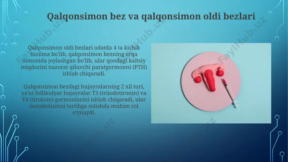 endokrin bezlar. - Page 3