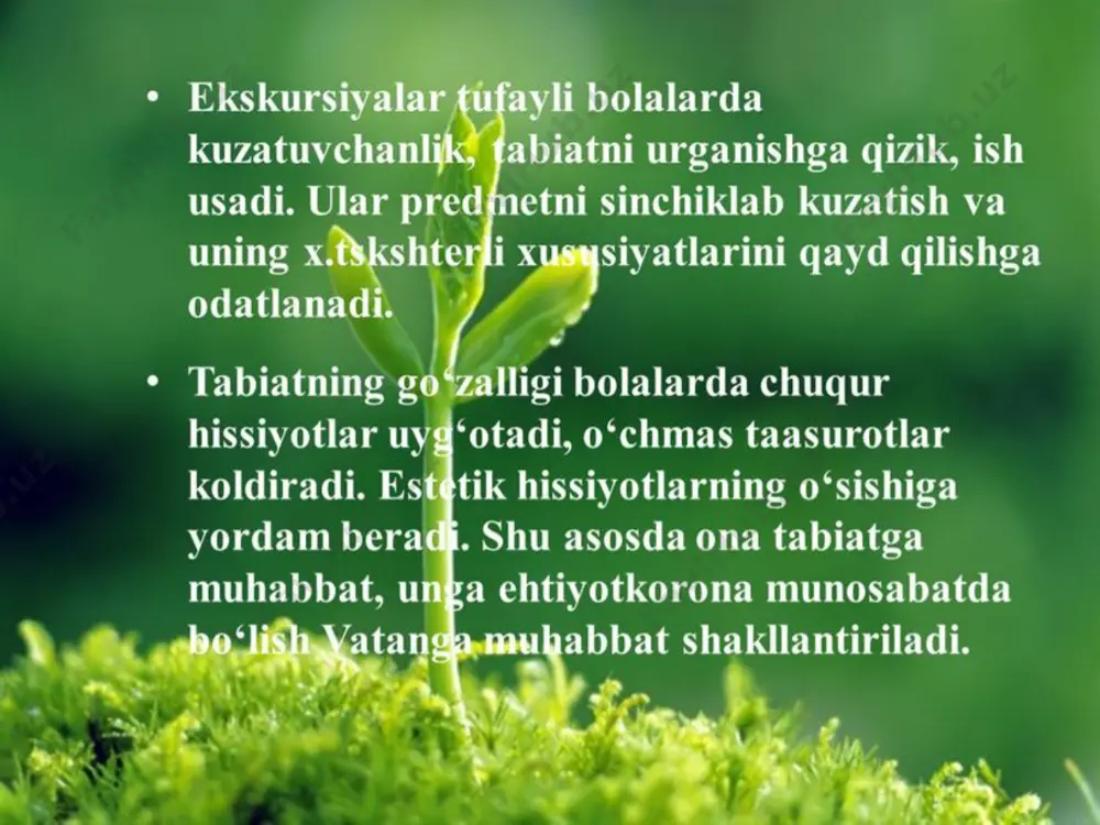 boshlang'ich sinf darslarida ekskursiya darslari - Page 5