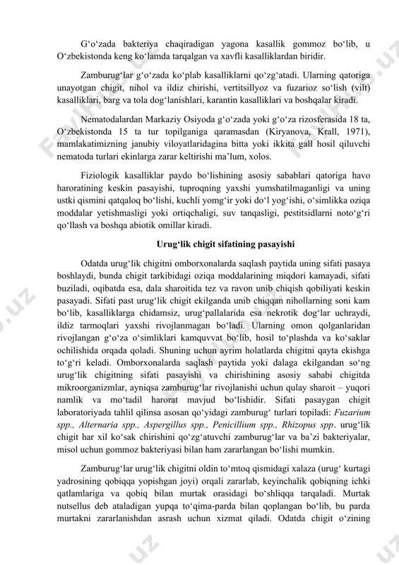 ., penicillium spp., rhizopus spp. urug‘lik chigit har xil ko‘sak chirishini qo‘zg‘atuvchi zamburug‘lar va ba’zi bakteriyalar, misol uchun gommoz bakteriyasi bilan ham zararlangan bo‘lishi mumkin. zamburug‘lar urug‘lik chigitni oldin to‘mtoq qismidagi xalaza (urug‘ kurtagi yadrosining qobiqqa yopishgan joyi) orqali zararlab, keyinchalik qobiqning ichki qatlamlariga va qobiq bilan murtak orasidagi bo‘shliqqa tarqaladi. murtak nutsellus deb ataladigan yupqa to‘qima-parda bilan qoplangan bo‘lib, bu parda murtakni zararlanishdan asrash uchun xizmat qiladi. odatda chigit o‘zining unuvchanligini yo‘qotmaguncha murtakning ichiga infeksiya kira olmaydi. ammo ba’zi yuqorida ko‘rsatilgan mikroorganizmlar o‘zlarining metabolitlari (toksinlari) va ekstratsellyular fermentlari yordamida o‘simlik to‘qimalarini kasallantirishi va hatto halok qilishi mumkin. urug‘lik chigitning sifatini pasayishi, uni yoki urug‘lik olish uchun mo‘ljallangan paxtani omborxonalarda saqlash paytida oson aniqlanadi, chunki bu jarayonda urug‘lik chigit va paxta haroratining sezilarli darajada ko‘tarilishi va oqibatda chigit murtagida turli dog‘larning paydo bo‘lishi kuzatiladi. odatda murtakning rangi oq yoki sarg‘ish-ok bo‘lsa, zararlanganlari och yoki to‘q qung‘ir rangga kiradi. urug‘lik chigit …