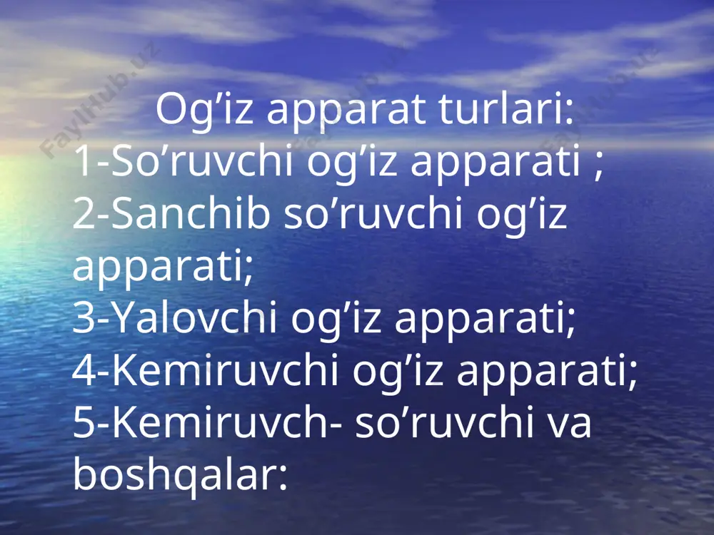 hasharotlarning trofik adaptatsiyasi - Page 5