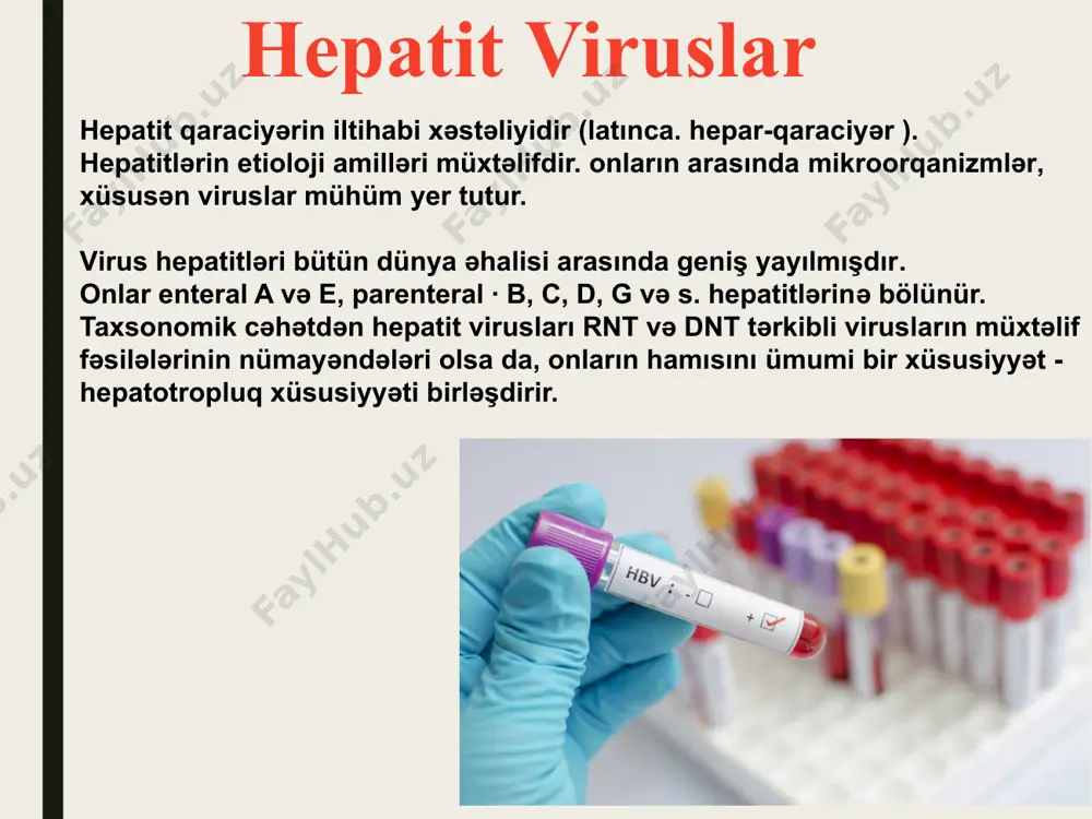 titi virusu əleyhinə i̇gm anticisimlərinin təyini diaqnozu təsdiq edir. 11 müalicə. etiotrop müalicə preparatları olmadığından simptomatik müalicə aparılır. profilaktika. qeyri-spesifik profilaktika tədbirləri bağırsaq infeksiyalarında olduğu kimidir. spesifik passiv profilaktika üçün epidemioloji göstərişlərə əsasən immunoqlobulin tətbiq edilir. i̇mmunitet 3 aya qədər davam edir. spesifik aktiv profilaktika üçün inaktivləşdirilmiş, konsentrasiyalaşdırılmış kultural vaksin, eləcə də rekombinant vaksin hazırlanmışdır. b hepatit virusu b hepatit virusu (bhv) dnt-tərkibli virusların hepadnaviridae fəsiləsinin orthohepadnavirus cinsinə daxildir. i̇lk dəfə l970-ci ildə deyn tərəfındən kəşf edilmiş və «deyn hissəciyi» adını almışdır. bhv mürəkkəb quruluşlu dnt-tərkibli sferik formalı virus olub, diametri 42 nm-dir (59in 28.2). virusun səthi ' lipid qişasındada hbs–antigen yerləşmişdir. virionun 28 nm ölçülü özək hissəsi (nukleokapsid) kub simmetriyalıdır, burada hbc-antigeni yerləşir. özək hissənin daxilində dnt, əks transkriptaza fəallığına malik dnt-polimeraza fermenti və hbe-antigen yerləşir. genom həlqəvi formalı, ikisaplı dnt-dən ibarətdir. dnt-nin bir sapı digərinə nisbətən bir qədər qısadır, yəni, dnt molekulu tam ixisaplı deyil. beləlixlə, virusun genom-dnt-si …