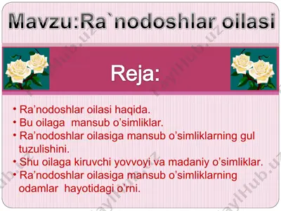 ra’nodoshlar oilasi haqida — PPT