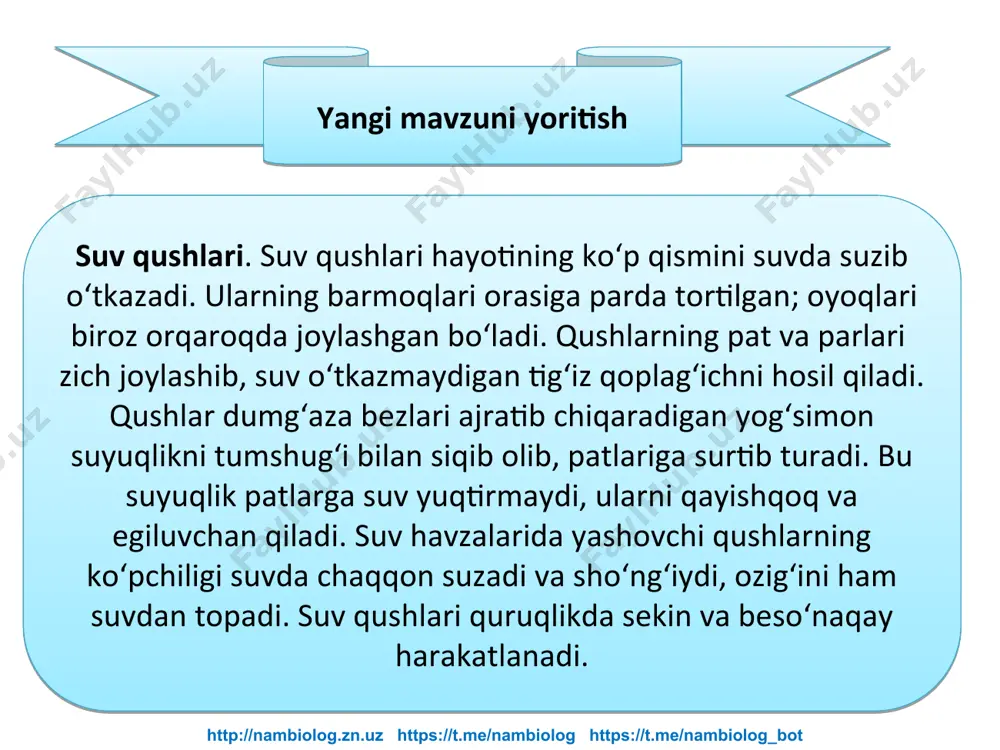 "suv havzalari va sohil qushlari" - Page 4