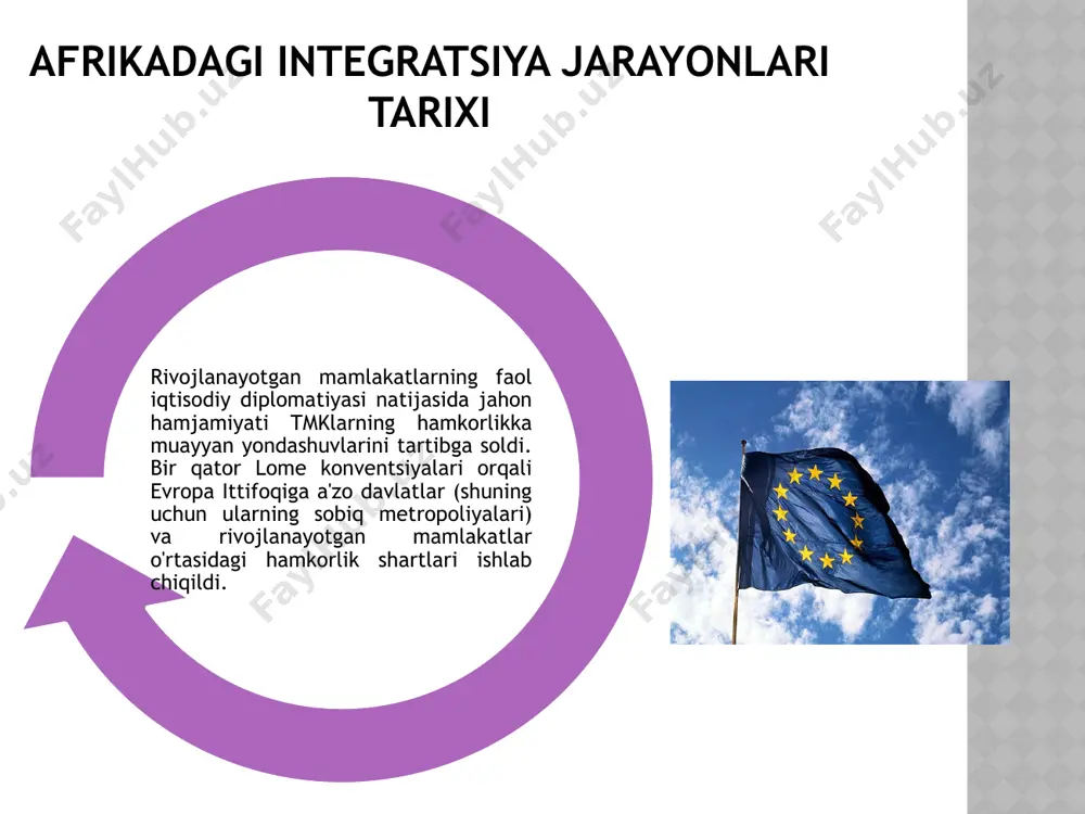 afrikadagi integratsiya jarayonlari - Page 5